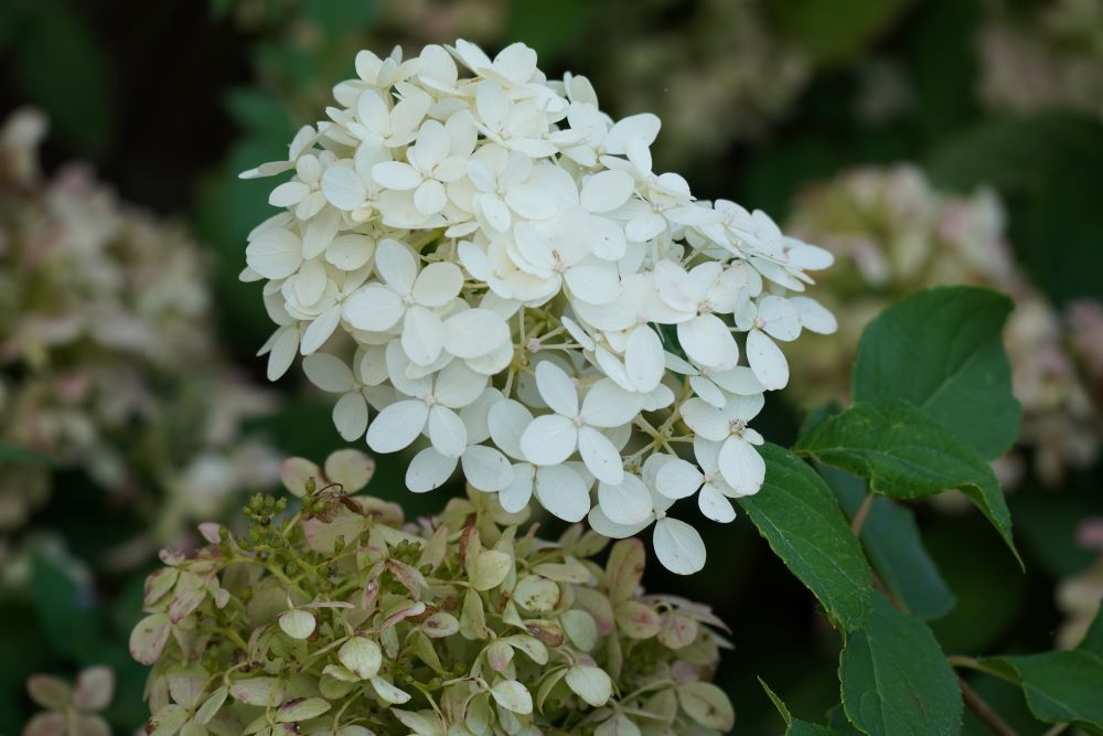 26c23381803788e0015d3b89ac58cd94_1792321347_75.jpg